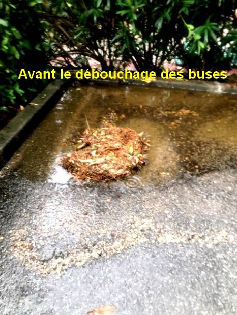 2025-03-12_avant-débouchage (3)