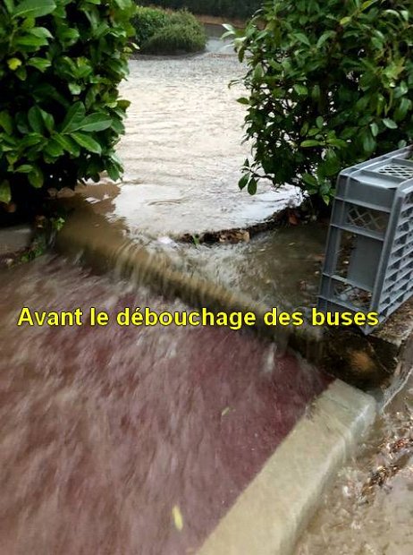 2025-03-12_avant-débouchage (5)
